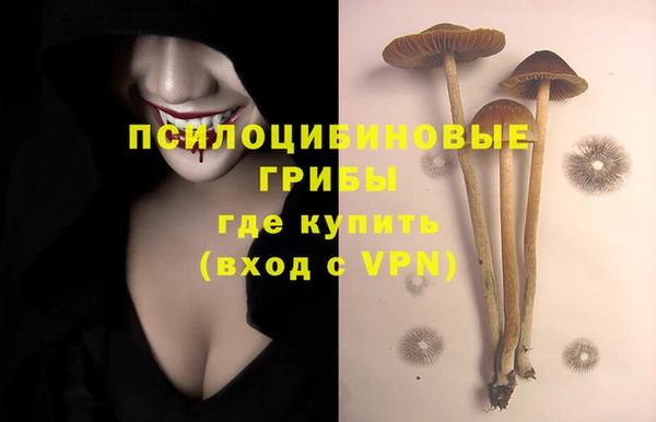 2c-b Аркадак